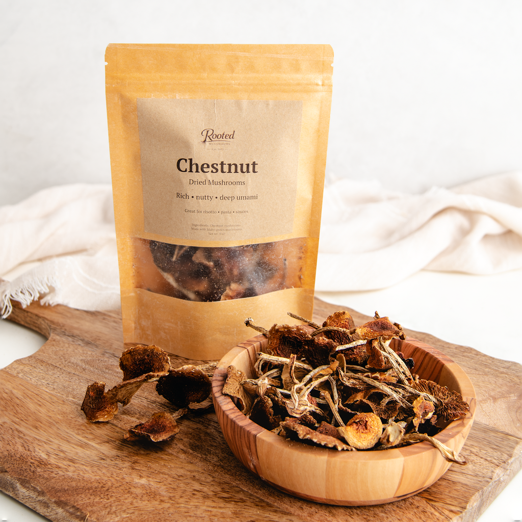 Dried Chestnut Mushrooms